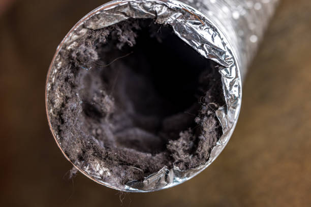Best Affordable Air Duct Cleaning  in Parkland, FL