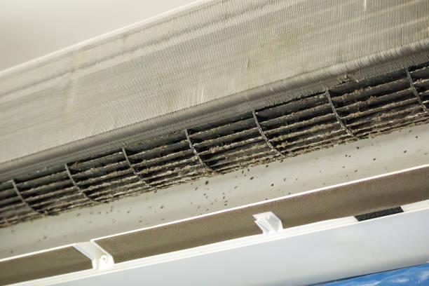 HVAC System Cleaning in Parkland, FL